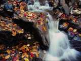 Осенняя пора. Красивый пейзаж с водопадом.